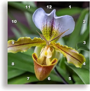3dRose Wall Clock Silent - 10 inch - Venus Slipper Orchid - Flower