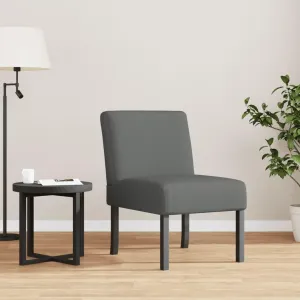 JCSD Comfortable Slipper Chair for Cozy Lounging, Dark Gray Fabric with Supportive Design, Small Spaces