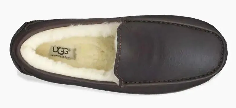Men's Ascot Slipper