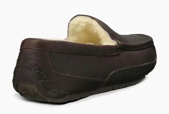 Men's Ascot Slipper