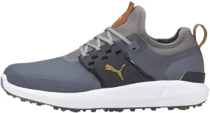 Men's Ignite Articulate Golf Shoe