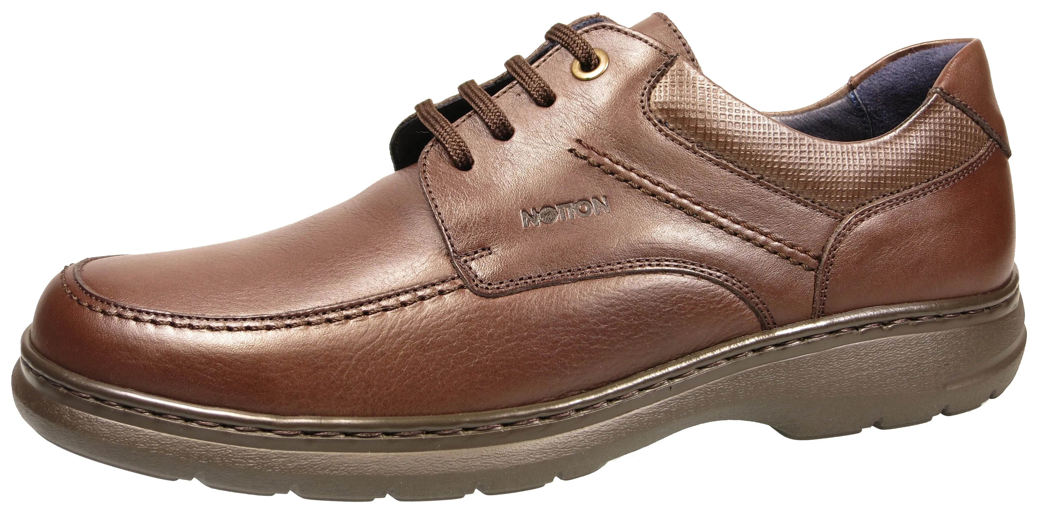 Notton Laced Shoe