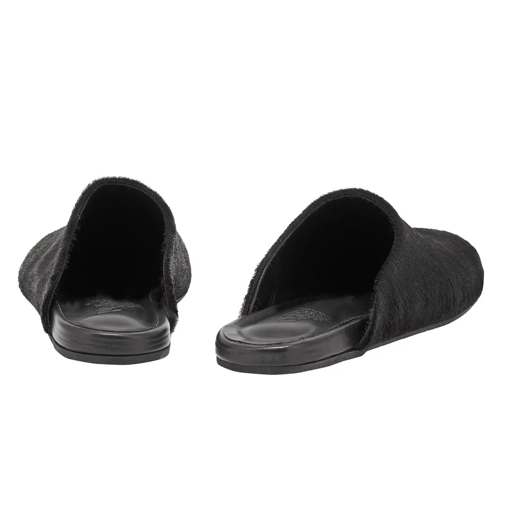 The Slipper